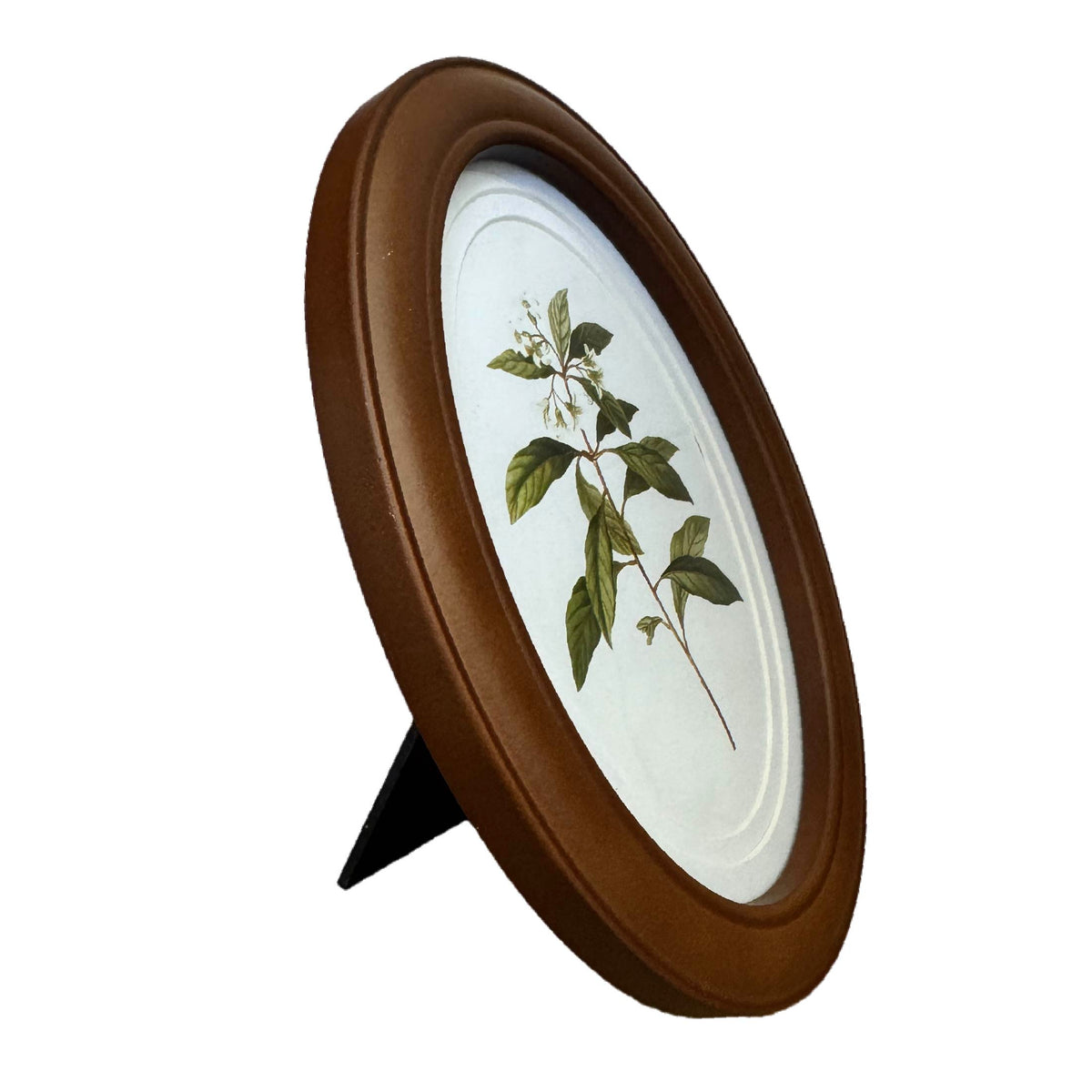 5x7 Oval Wood Finish Double Mat Picture Frame